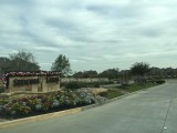 IMG_2011