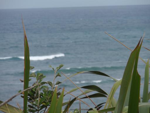 Uitzichtpunt (Tasman Sea)