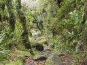 Wandelroute Mt. Taranaki