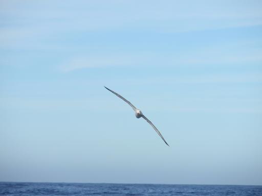 P3300606
