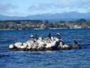 Lake Taupo