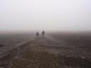 Mistig!