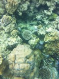 Great Barrier Reef