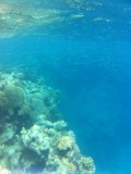 Great Barrier Reef