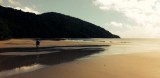 Cape Tribulation beach