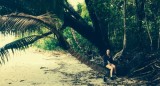 Cape Tribulation