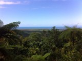 Cape Tribulation