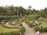 Botanic gardens