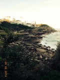 Bondi to Coogee walk