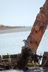 2019_0124_02333700