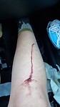 IMG-20220907-WA0005