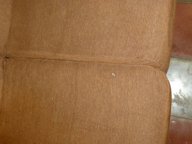P1000764
