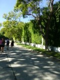 P1000639
