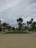 P1000714