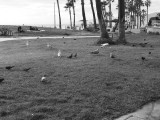 P1000718