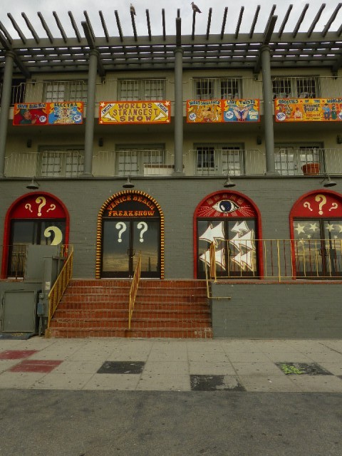 P1000726