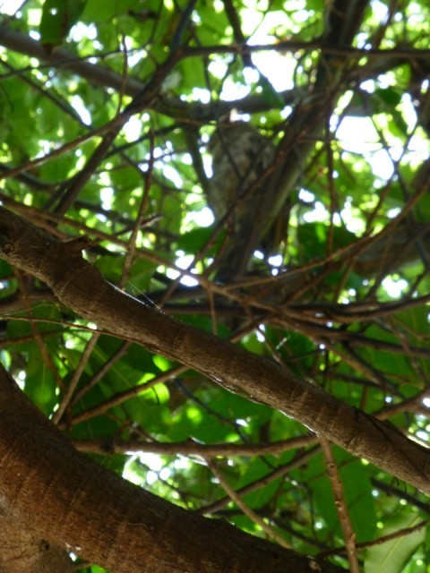 P1000792