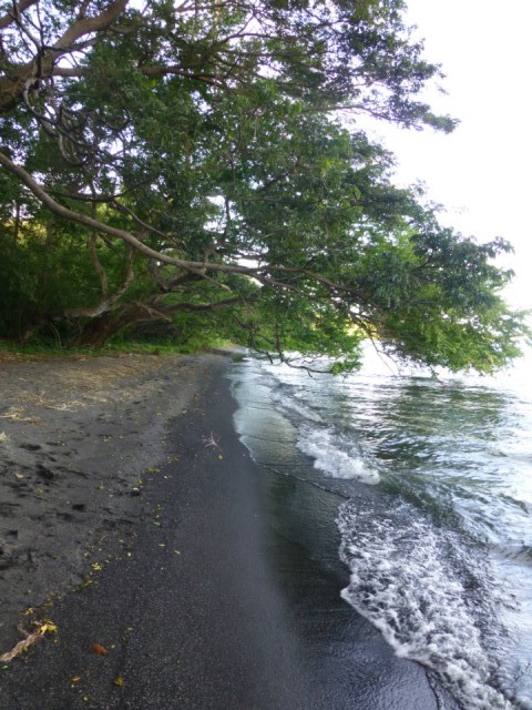 P1000818