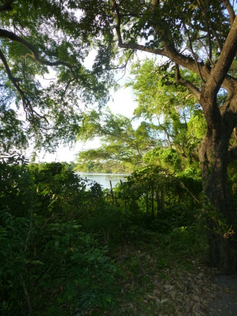 P1000822