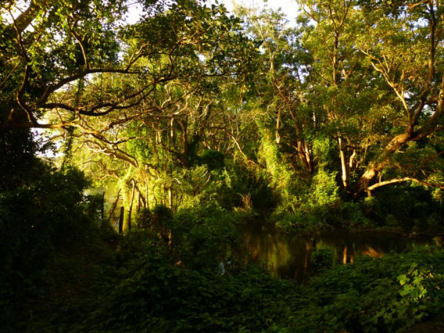 P1000826