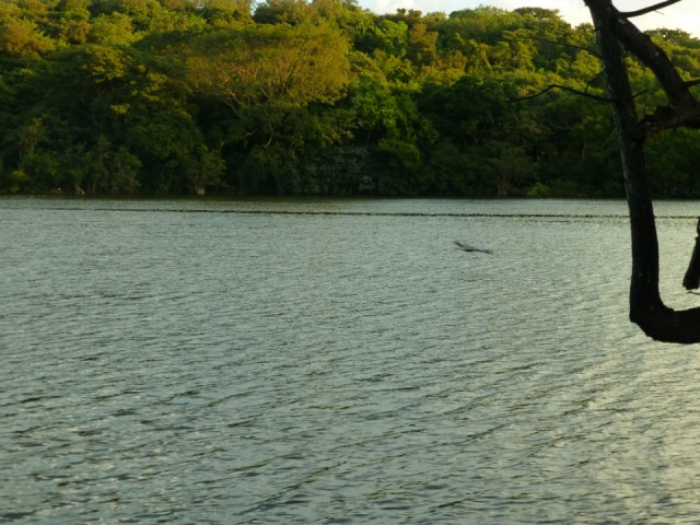 P1000828