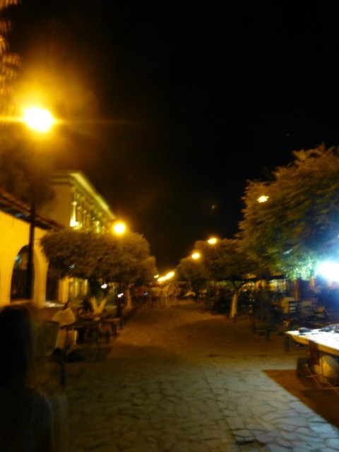 P1000835