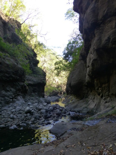 P1000942