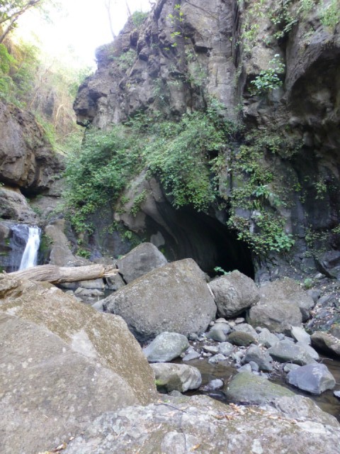 P1000943