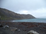 DSC00391