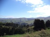 DSC00654