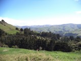DSC00655