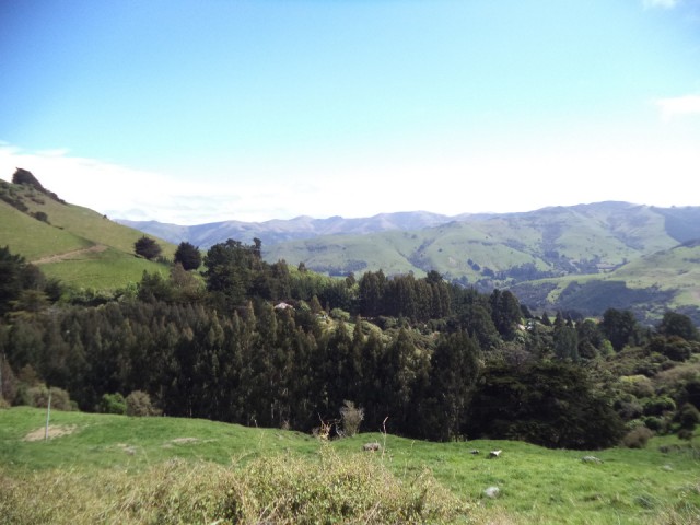DSC00655