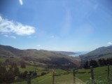 DSC00659