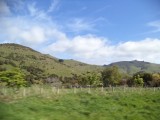 DSC00698