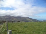 DSC00705