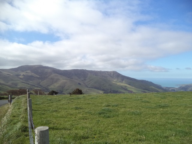 DSC00705