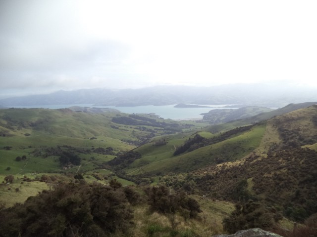 DSC00708