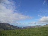 DSC00704