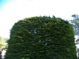 DSC00494
