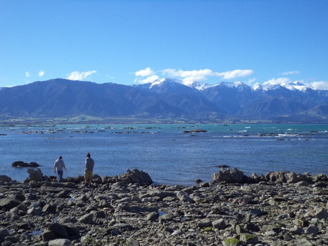 DSC00768