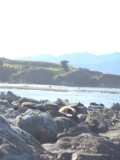 DSC00791