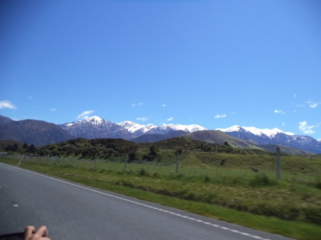 DSC00803