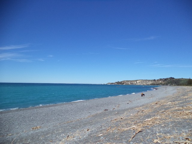 DSC00805