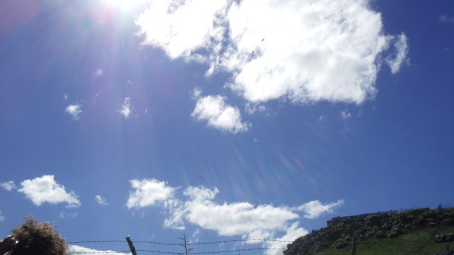 IMGP4763