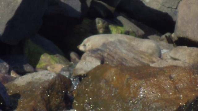 IMGP4790