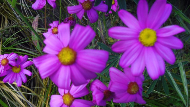 IMGP4793
