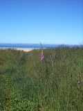 DSC00825