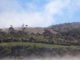 DSC00836