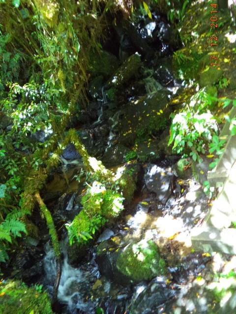 DSC00862