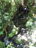 DSC00863